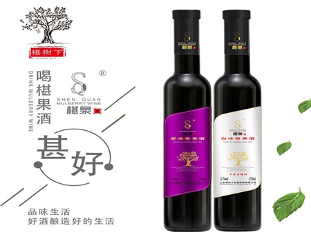 泡果酒用什么水果好？